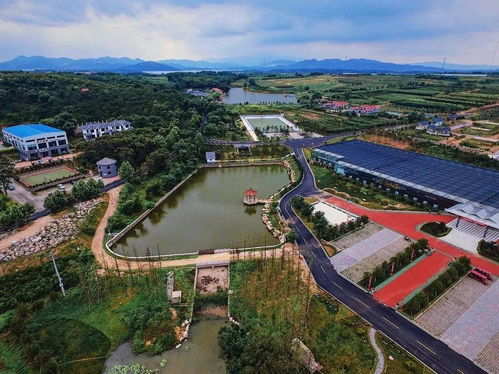 文登 三農 大豐收 十三五 成就巡禮 六